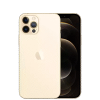 12_pro_nmax_gold